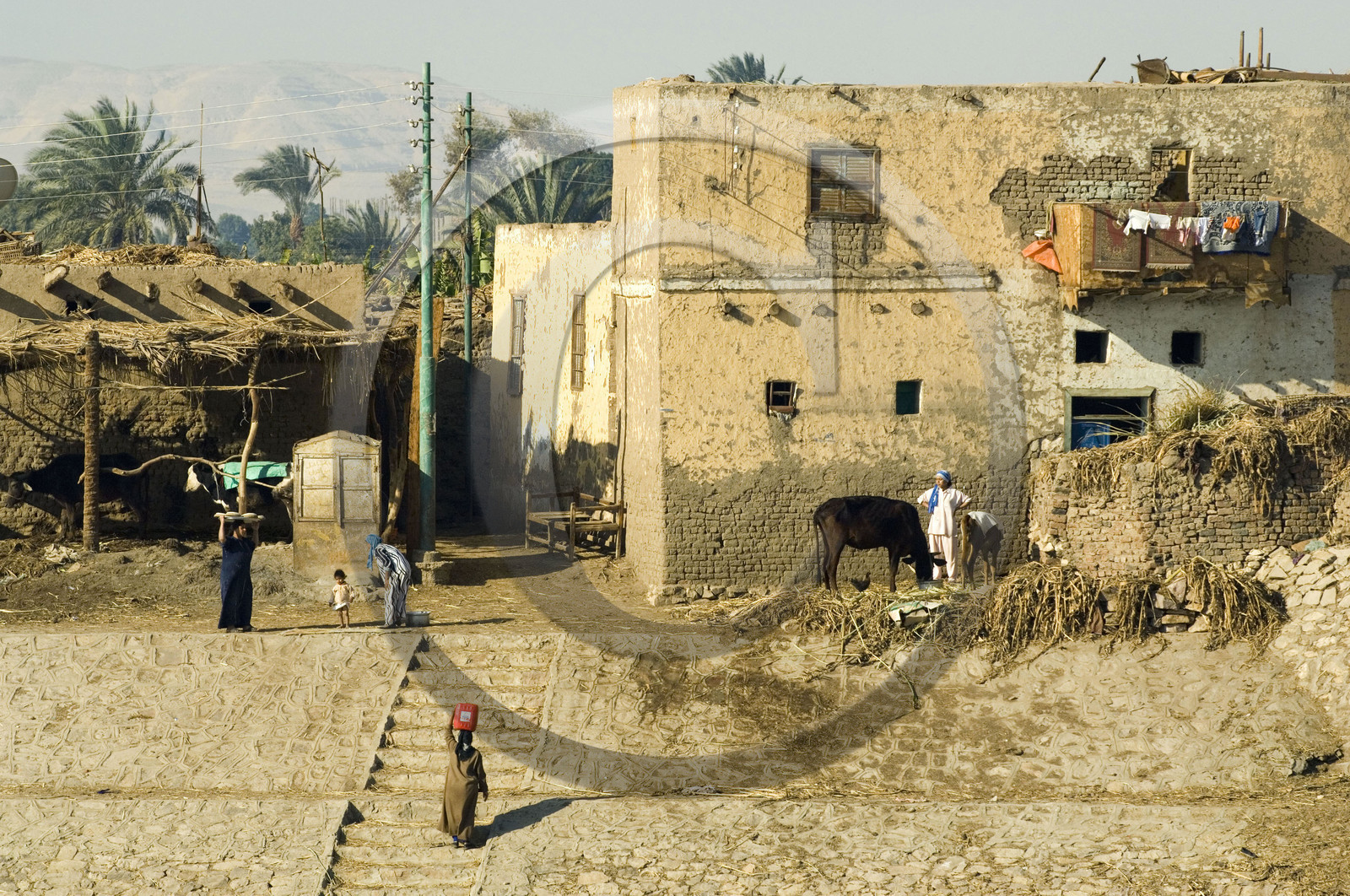 Egypte, Vallée du Nil