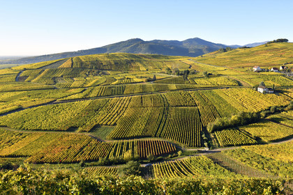 France, Niedermorschwihr