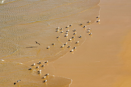 Cap Saint-Vincent, Algarve, Portugal