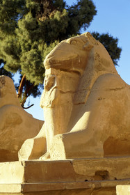 Egypte, Karnak
