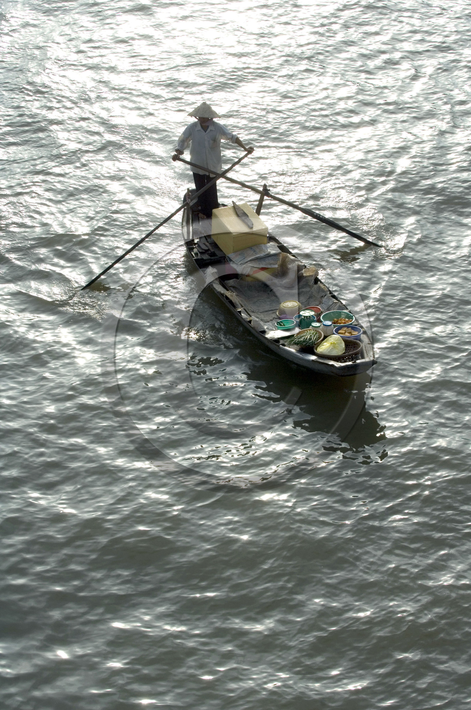 Delta du Mékong, Vietnam