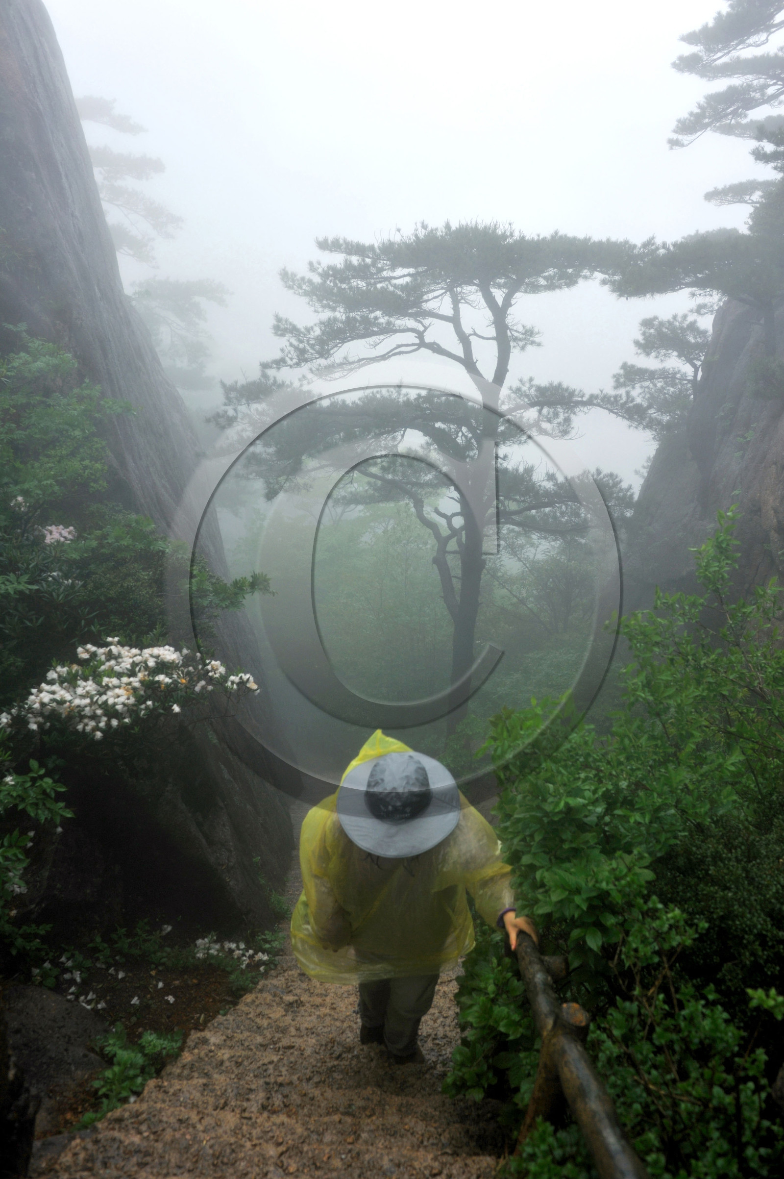 Chine, Huang Shan