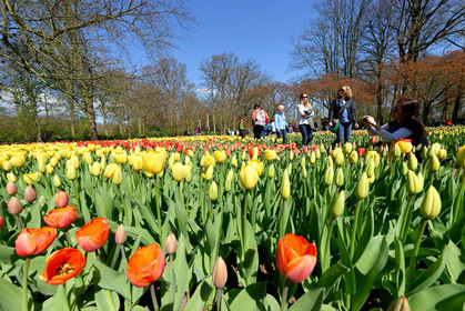 Hollande, Keukenhof
