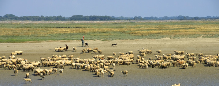 France, Baie de Somme