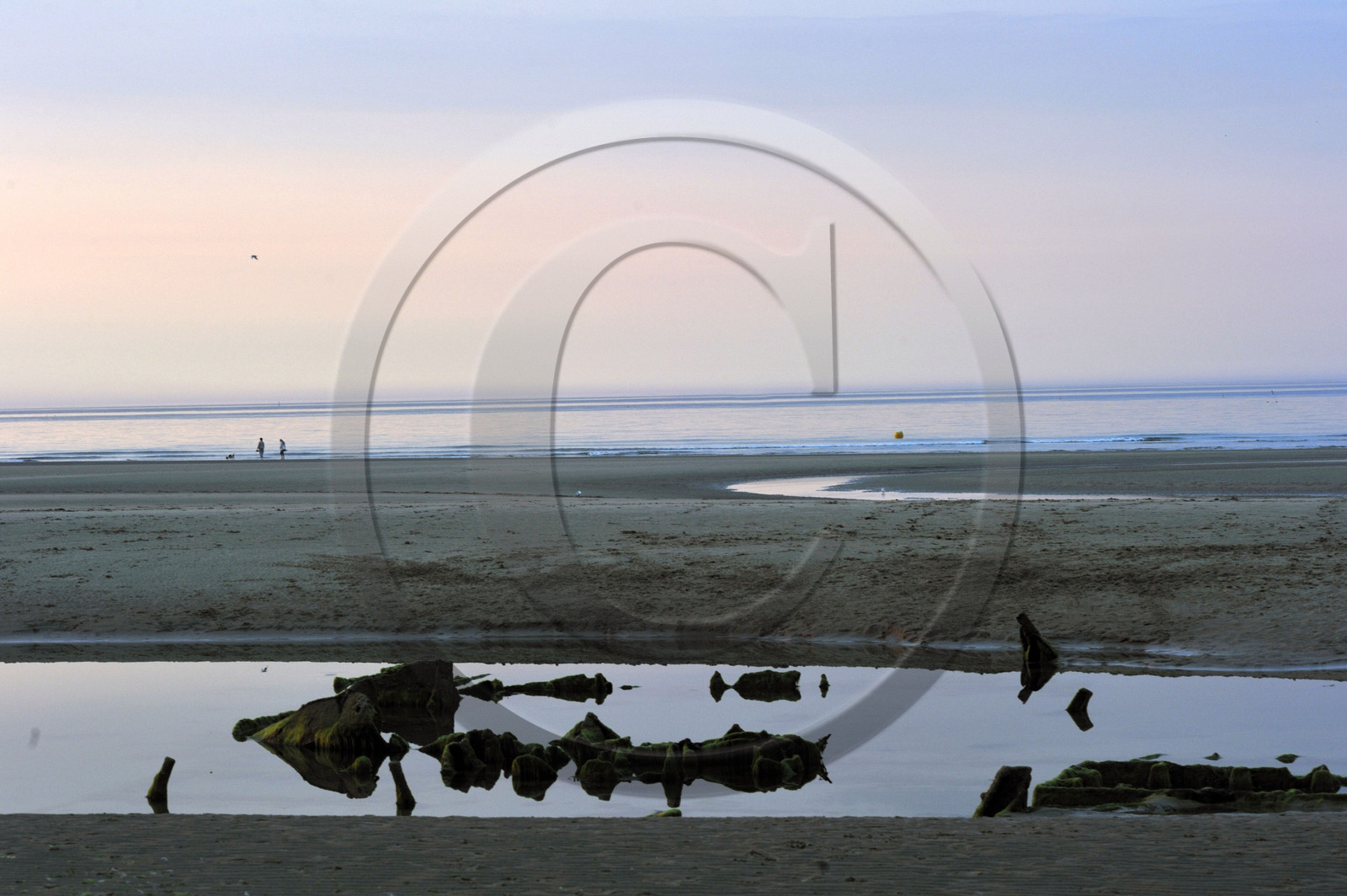 France, debarquement