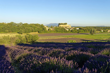France, Grignan