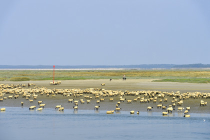France, Baie de Somme