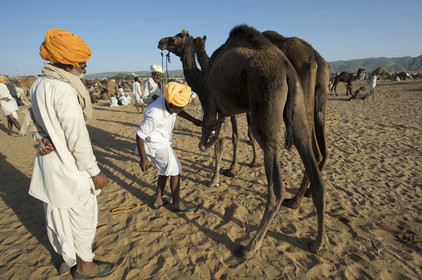 Inde, Pushkar