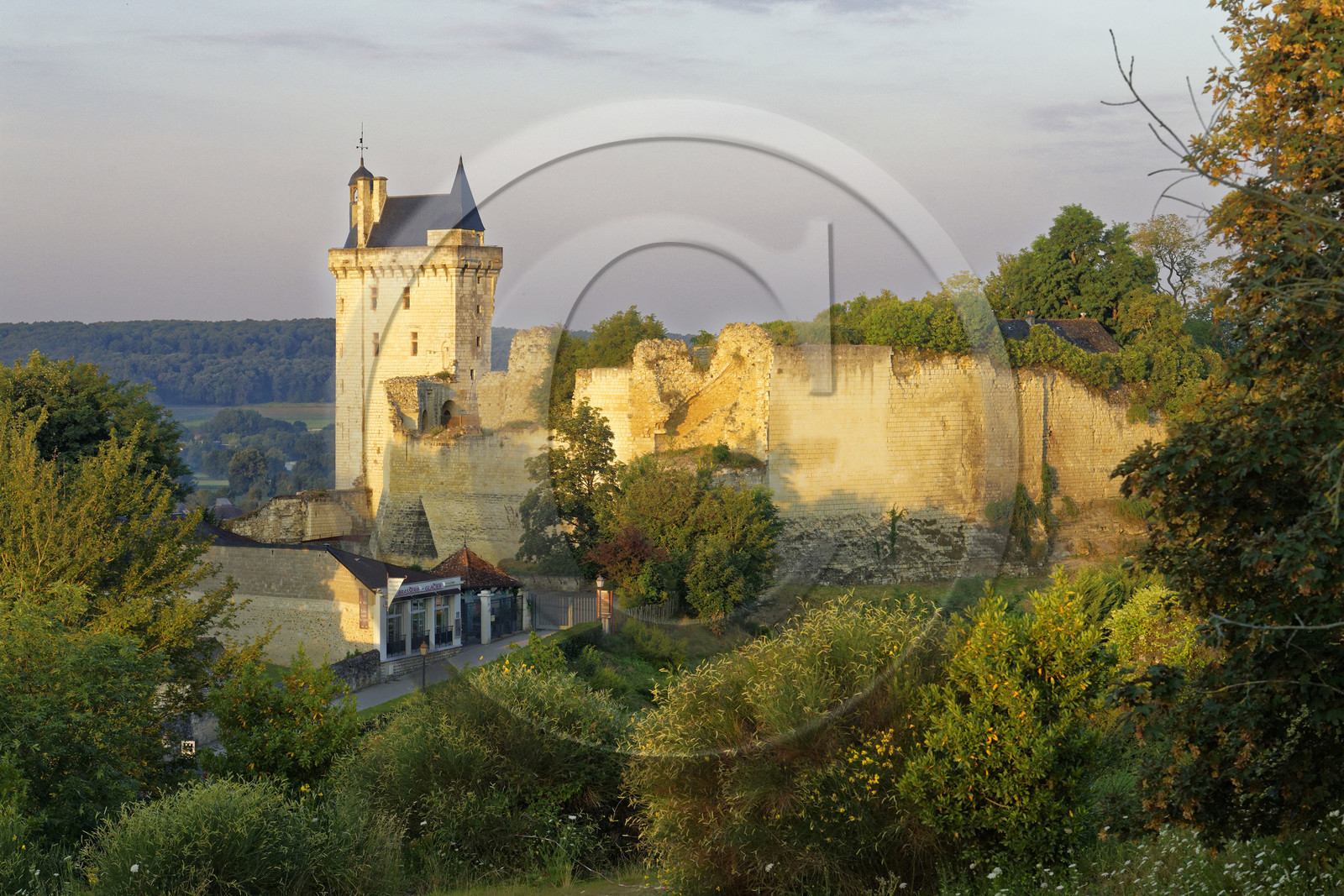France,  Chinon