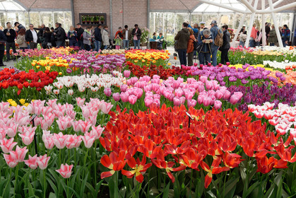 Hollande, Keukenhof