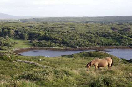 Irlande, Clifden