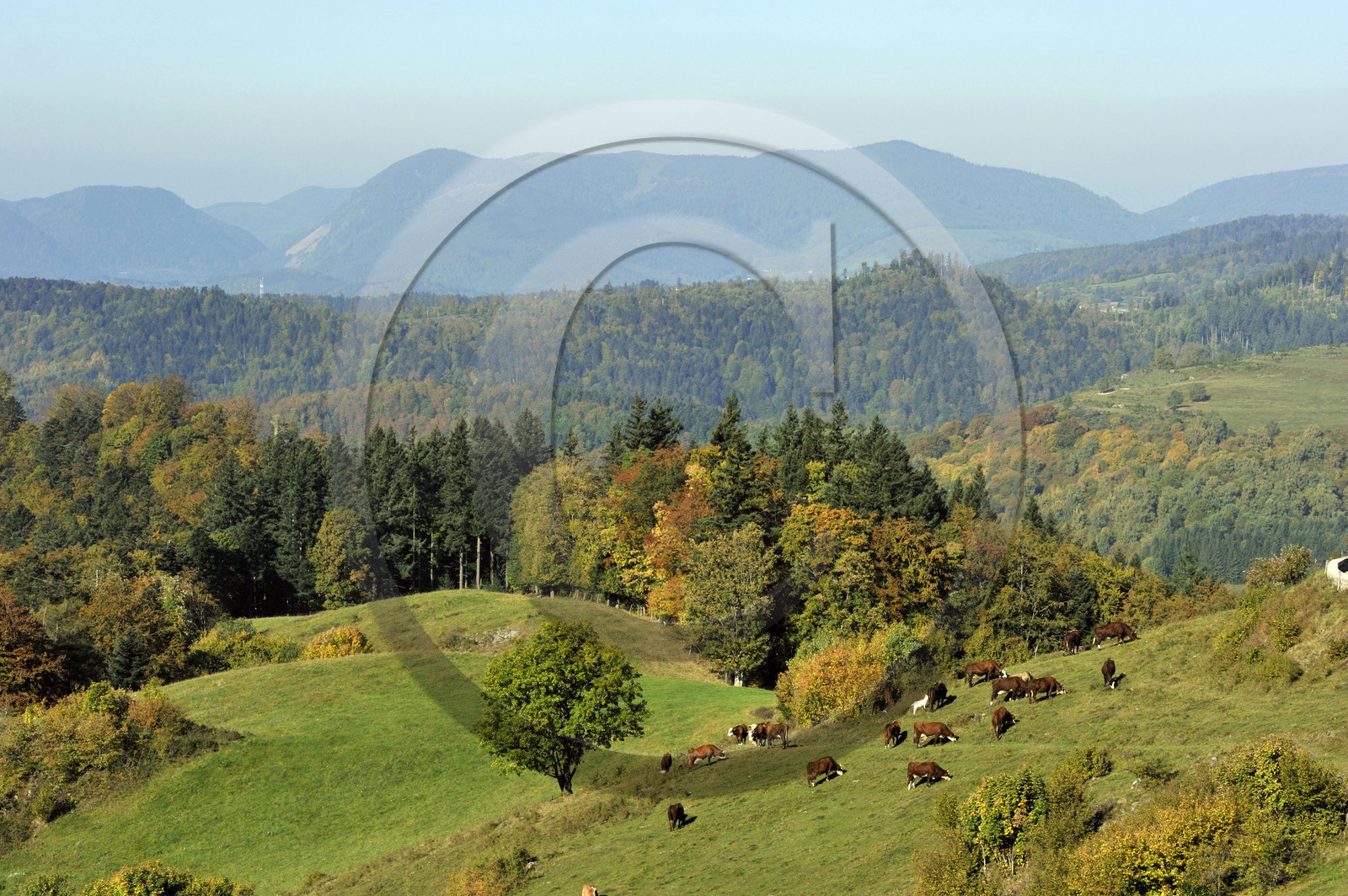 France, Grand Ballon
