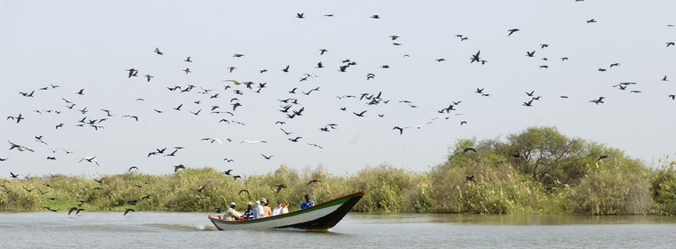 Djoudj, Sénégal