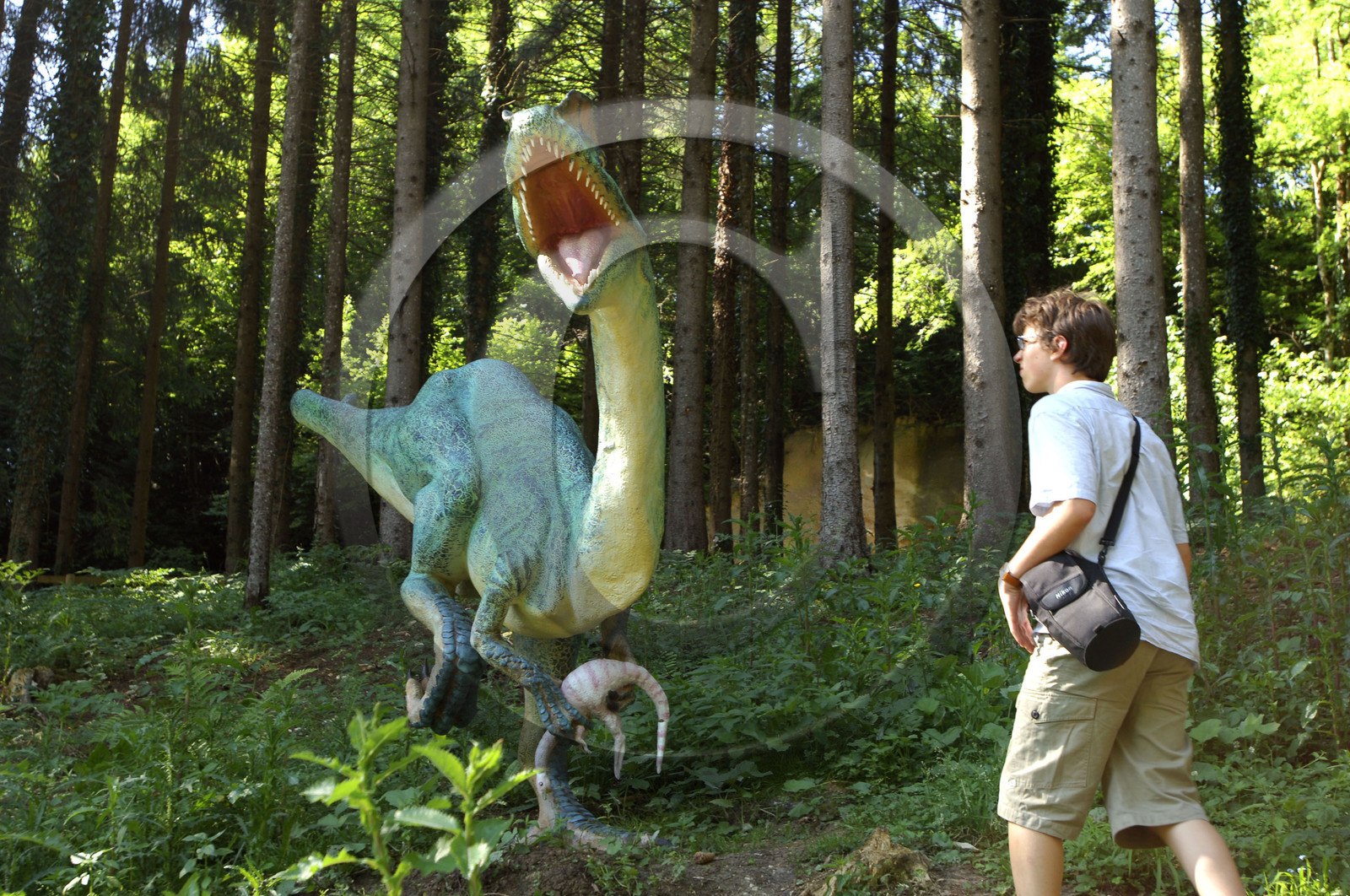 Franche-Comte, France