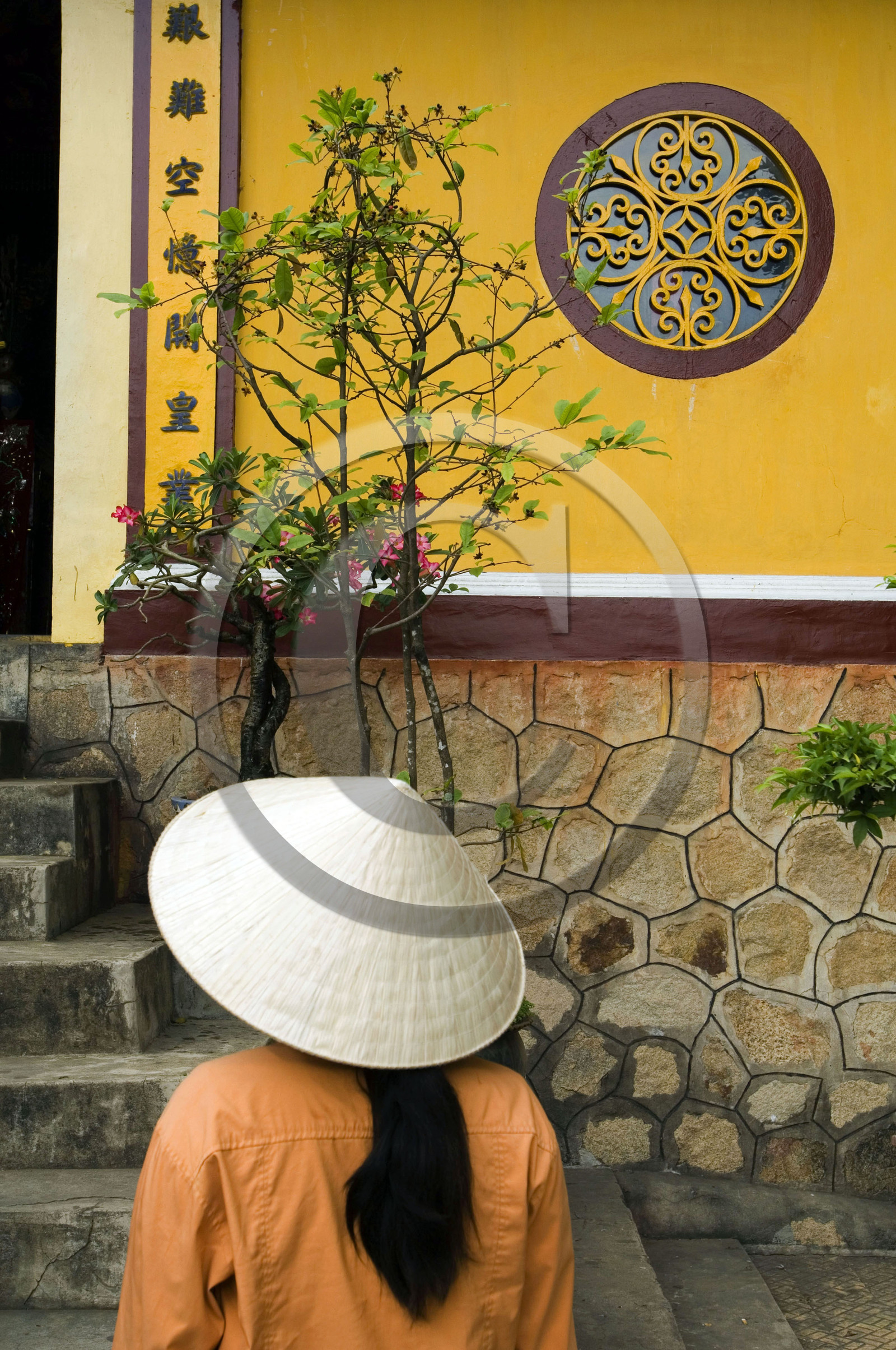 DELTA DU MEKONG.VIETNAM