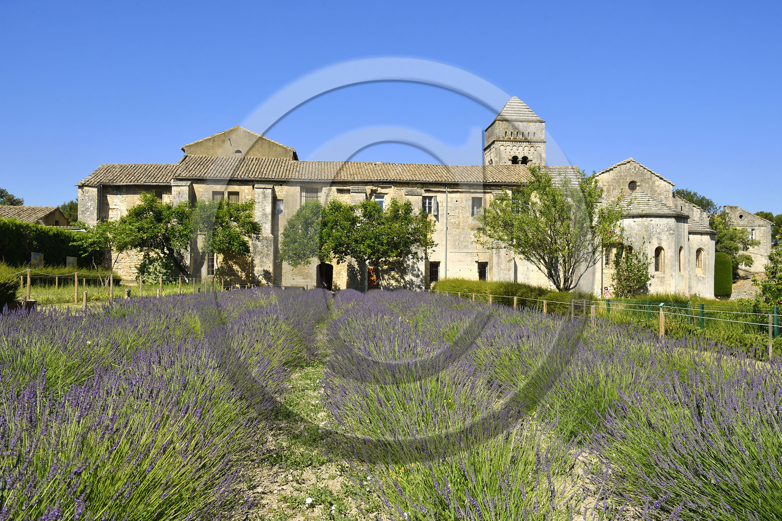 France, Saint Remy de Provence