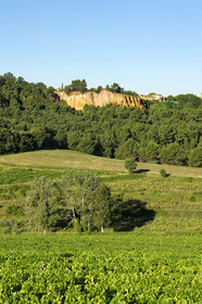 France, Roussillon