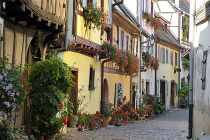 France, Eguisheim