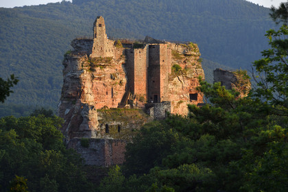 France, Fleckenstein