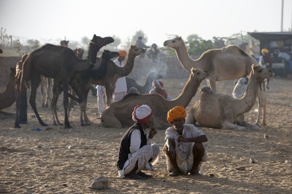 Inde, Pushkar