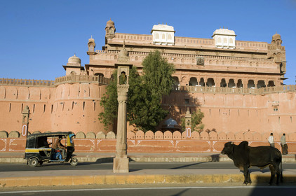 Inde, Rajasthan