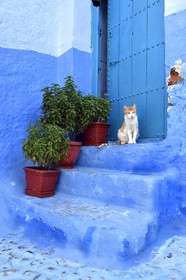Maroc, Chefchaouen