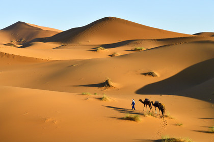 Maroc, Merzouga