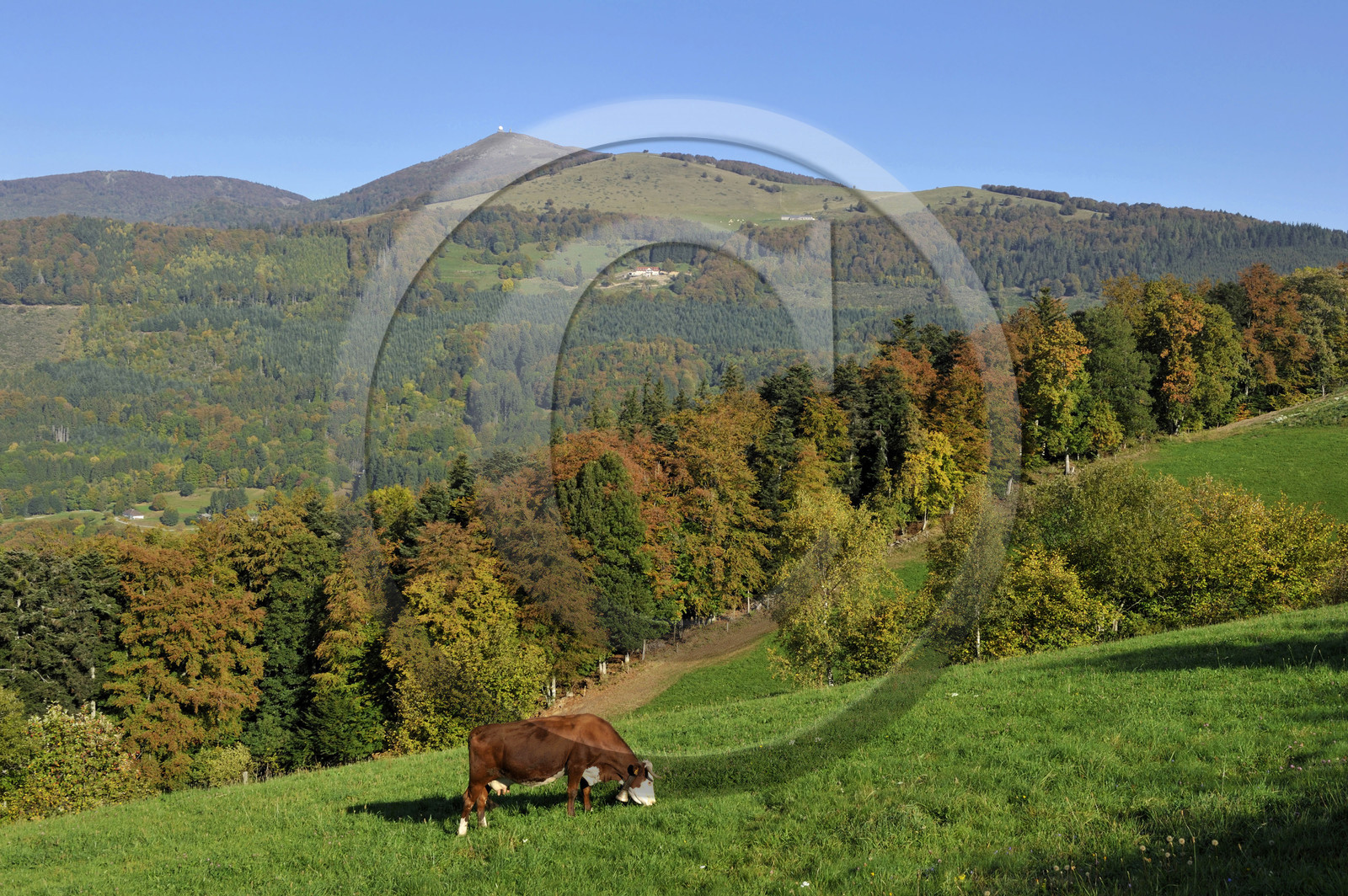 France, Grand Ballon