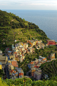 Italie, Cinque Terre