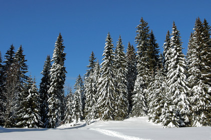 Franche-Comte, France