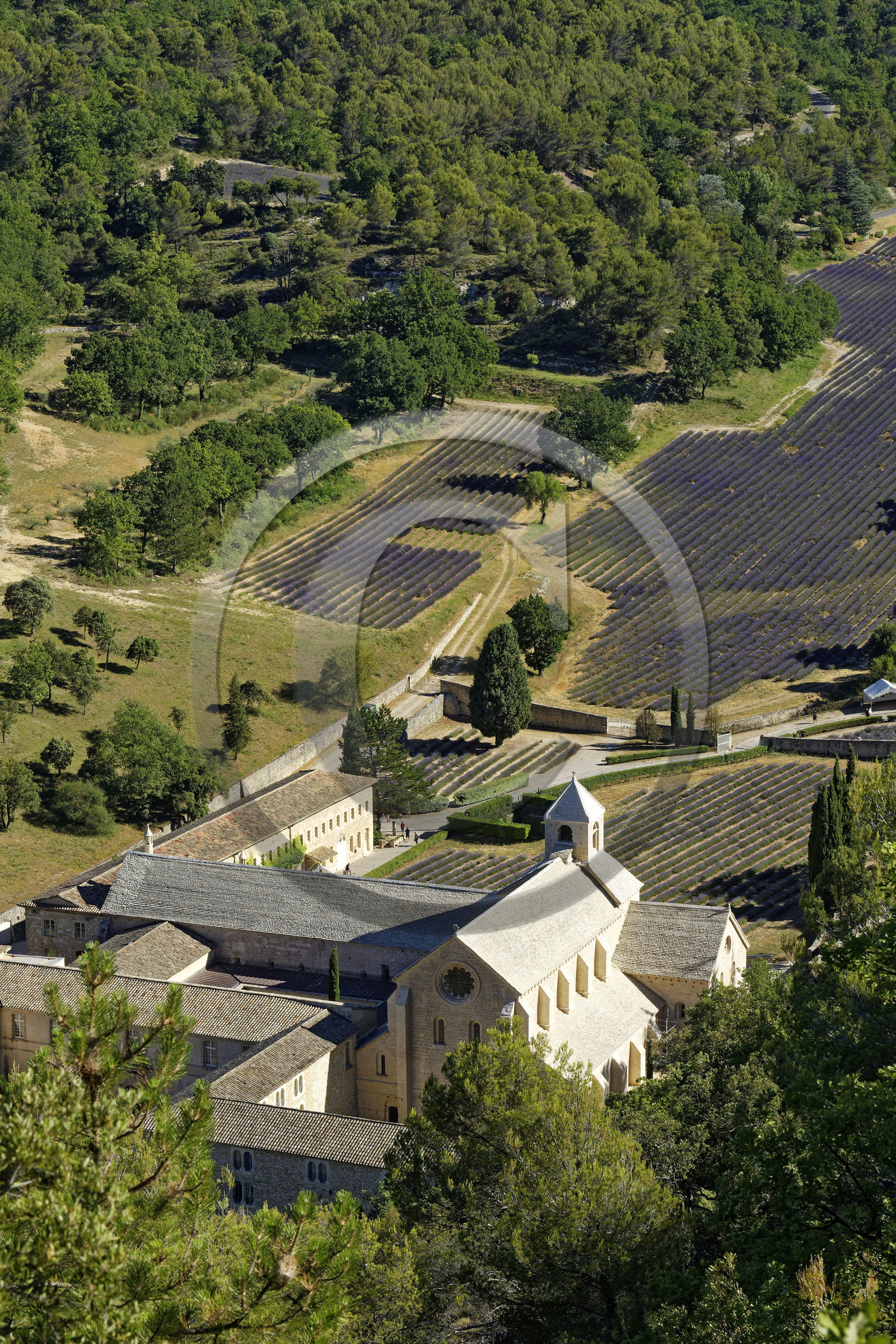 France, Senanque