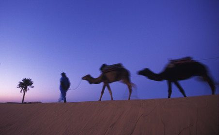 MAROC SUD   MERZOUGA.ERG CHERBI