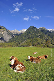 Autriche, Tyrol