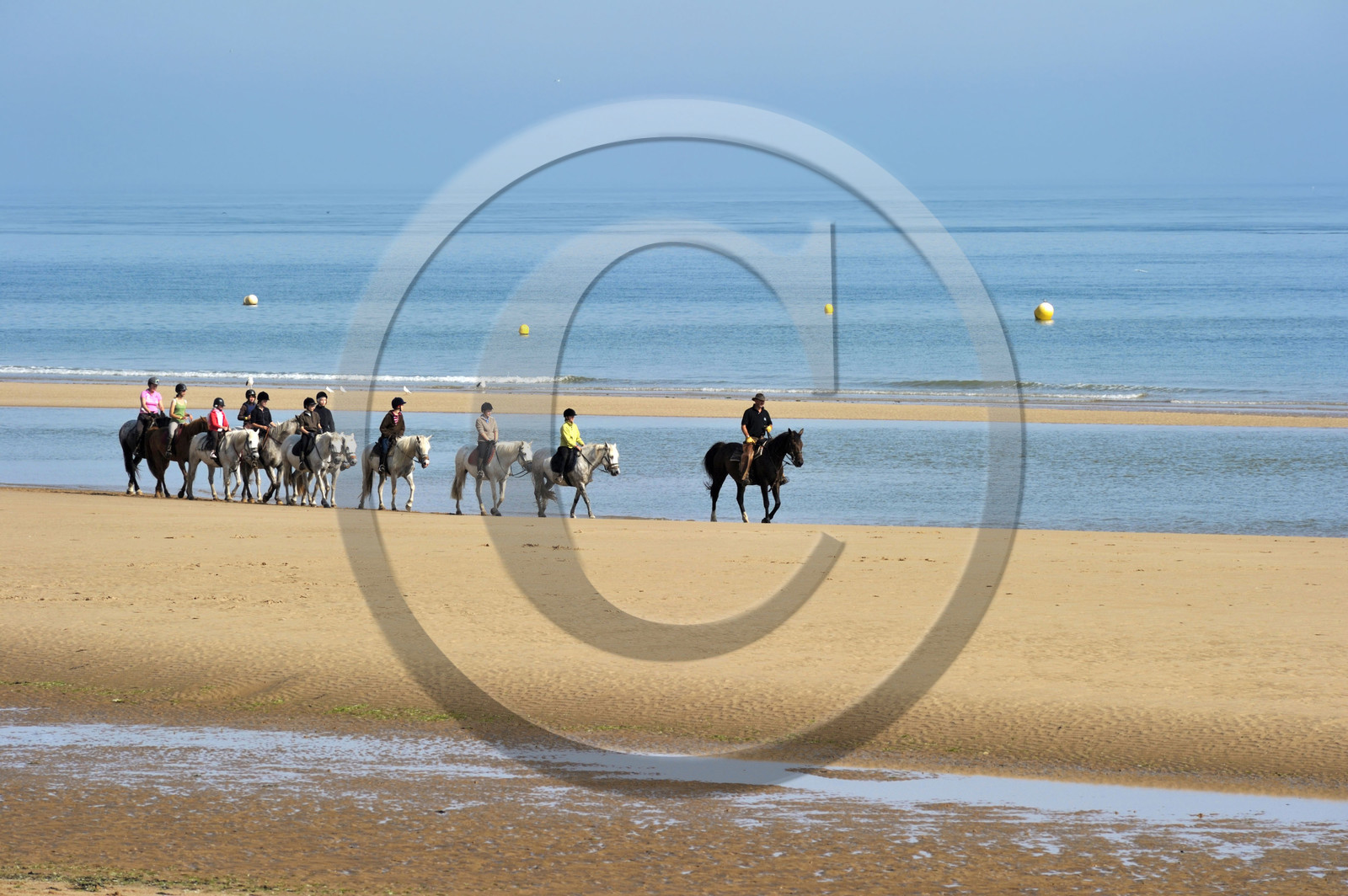 France, debarquement