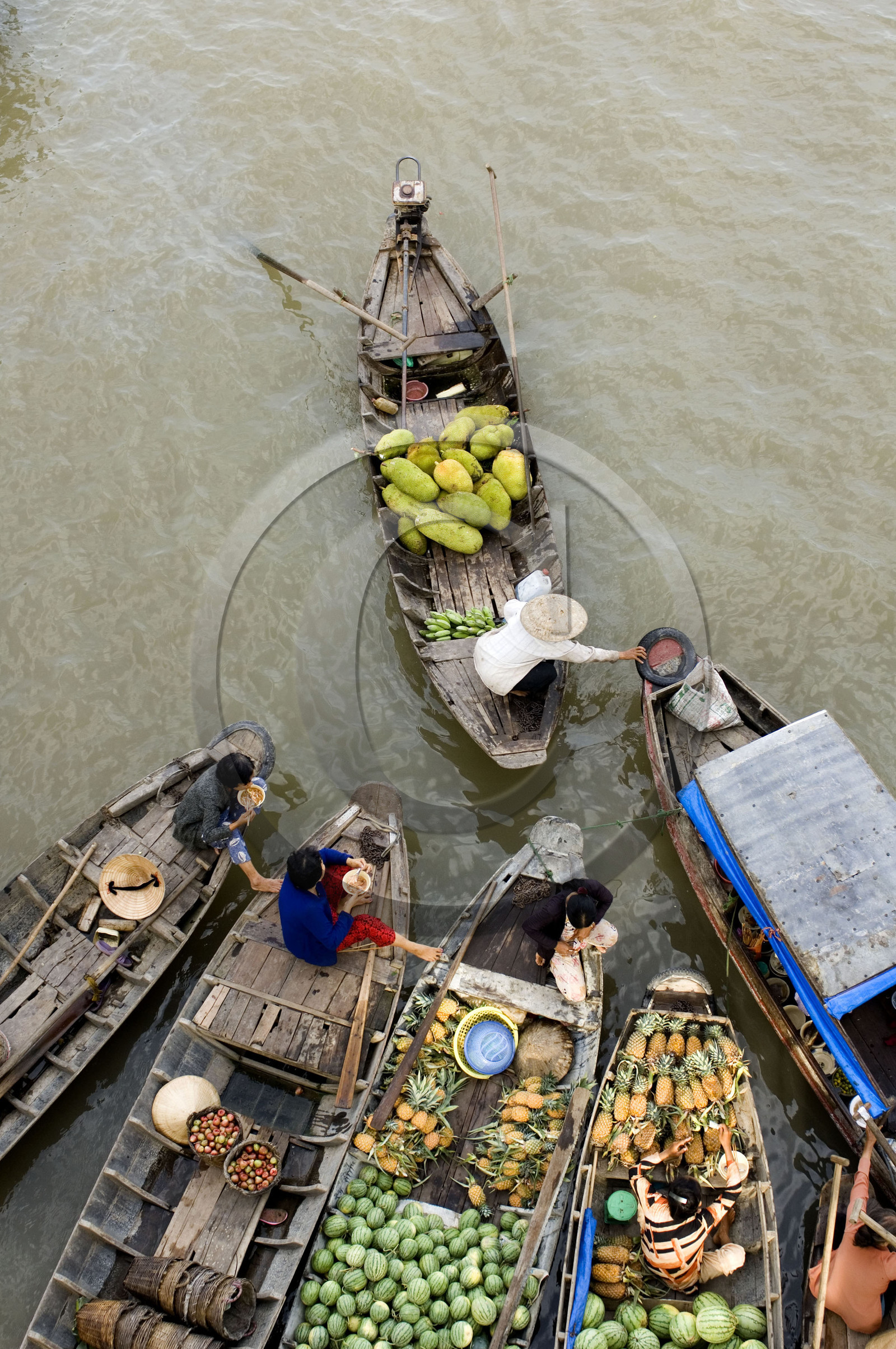 Delta du Mékong, Vietnam