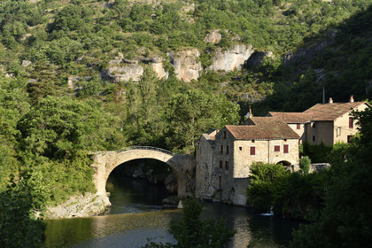 France, Roque