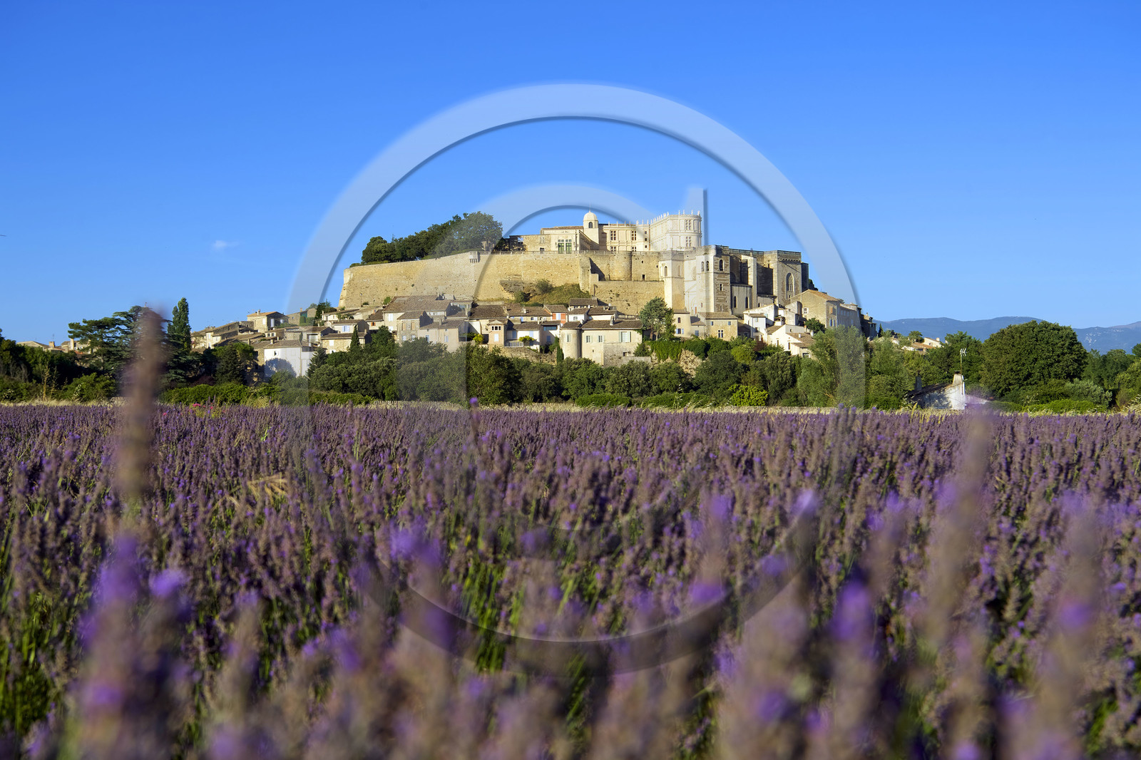 France, Grignan