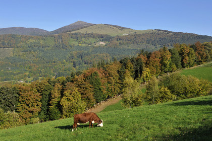 France, Grand Ballon