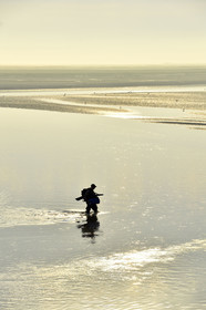 France, Baie de Somme