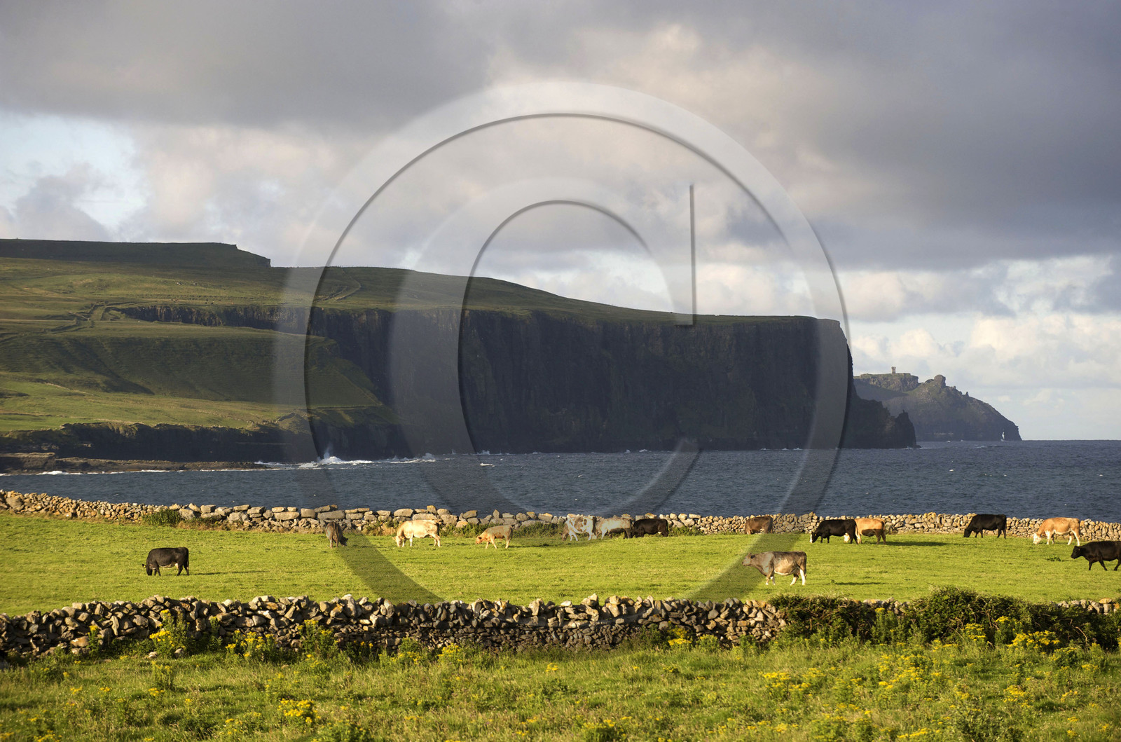Irlande, Moher