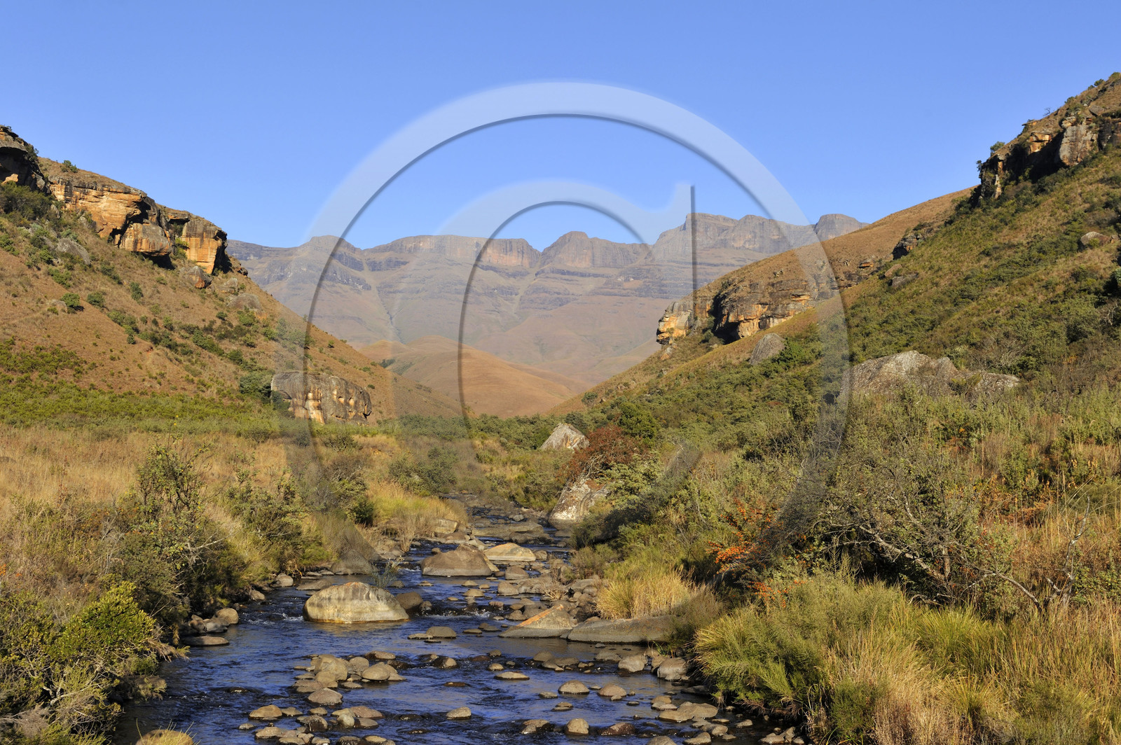 AFS, Drakensberg