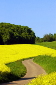 Franche-Comte, France