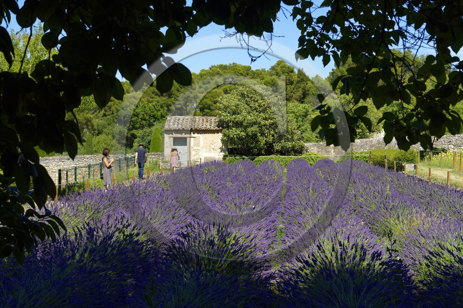 France, Saint Remy de Provence