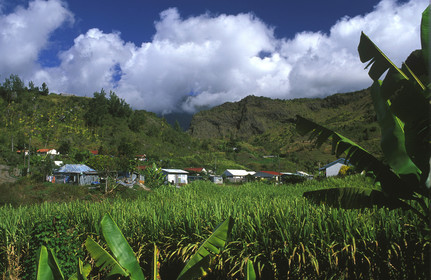 Ile de la Réunion.France