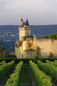France,  Chinon