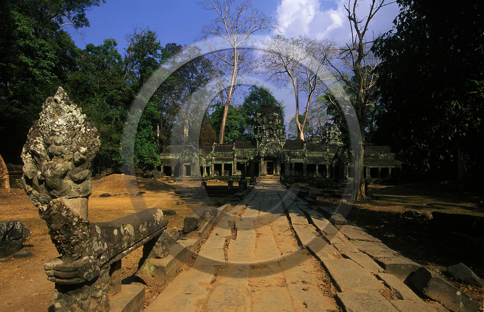 Angkor. Cambodge