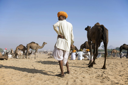Inde, Pushkar