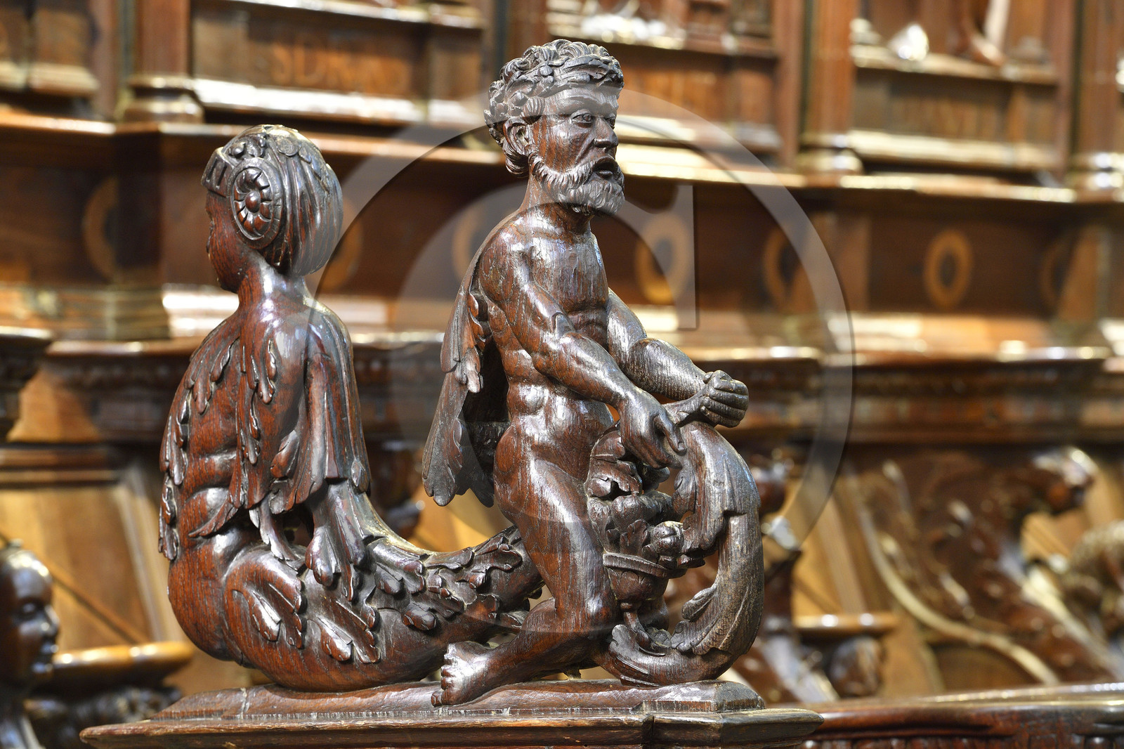 France france haute garonne saint bertrand comminges