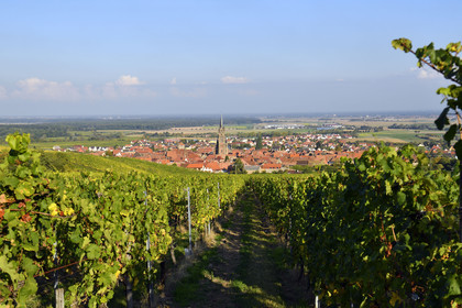 France, Dambach la Ville