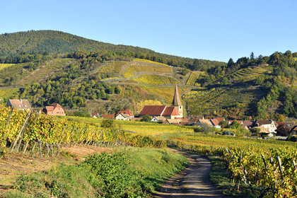 France, Niedermorschwihr